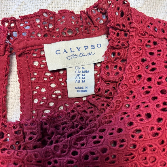 NWOT Calypso St Barth Eyelet Embroidered Blouse Ruffle Sleeve Burgundy Size Med - Picture 4 of 6